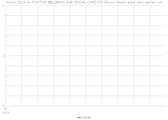 Visitas 2024 de POSITIVE WELLBEING AND SOCIAL CARE LTD (Reino Unido) 