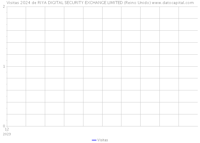 Visitas 2024 de RIYA DIGITAL SECURITY EXCHANGE LIMITED (Reino Unido) 