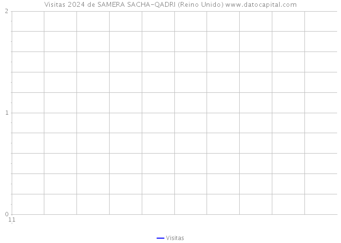 Visitas 2024 de SAMERA SACHA-QADRI (Reino Unido) 