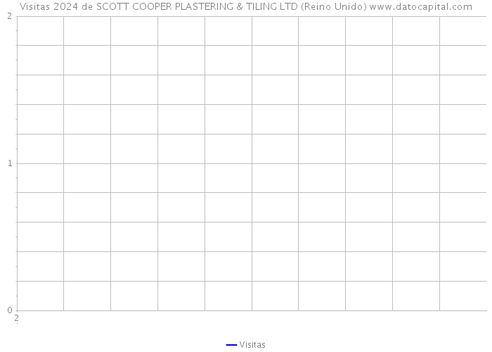 Visitas 2024 de SCOTT COOPER PLASTERING & TILING LTD (Reino Unido) 