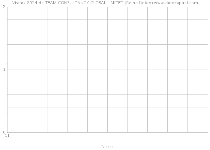 Visitas 2024 de TEAM CONSULTANCY GLOBAL LIMITED (Reino Unido) 