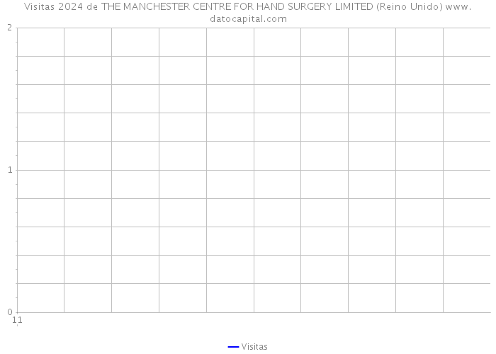 Visitas 2024 de THE MANCHESTER CENTRE FOR HAND SURGERY LIMITED (Reino Unido) 