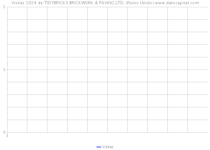 Visitas 2024 de TIDYBRICKS BRICKWORK & PAVING LTD. (Reino Unido) 