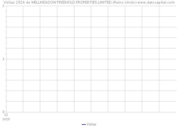 Visitas 2024 de WELLMEADOW FREEHOLD PROPERTIES LIMITED (Reino Unido) 