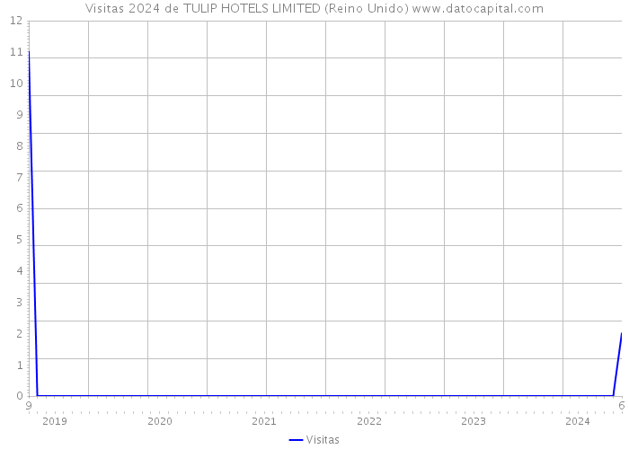 Visitas 2024 de TULIP HOTELS LIMITED (Reino Unido) 
