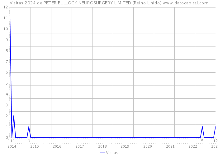 Visitas 2024 de PETER BULLOCK NEUROSURGERY LIMITED (Reino Unido) 