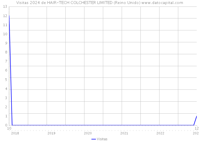 Visitas 2024 de HAIR-TECH COLCHESTER LIMITED (Reino Unido) 