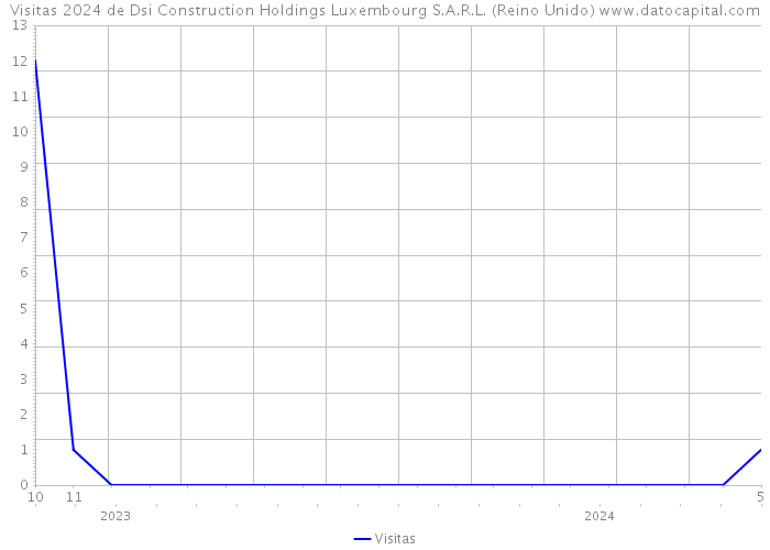 Visitas 2024 de Dsi Construction Holdings Luxembourg S.A.R.L. (Reino Unido) 