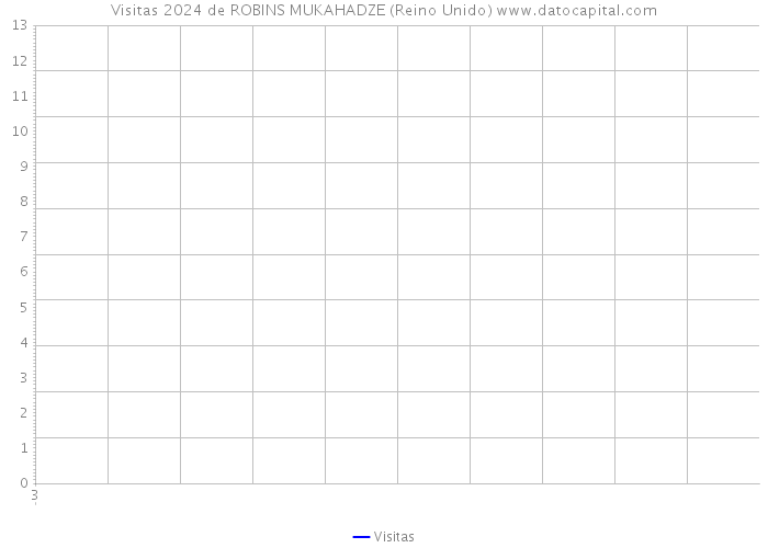 Visitas 2024 de ROBINS MUKAHADZE (Reino Unido) 