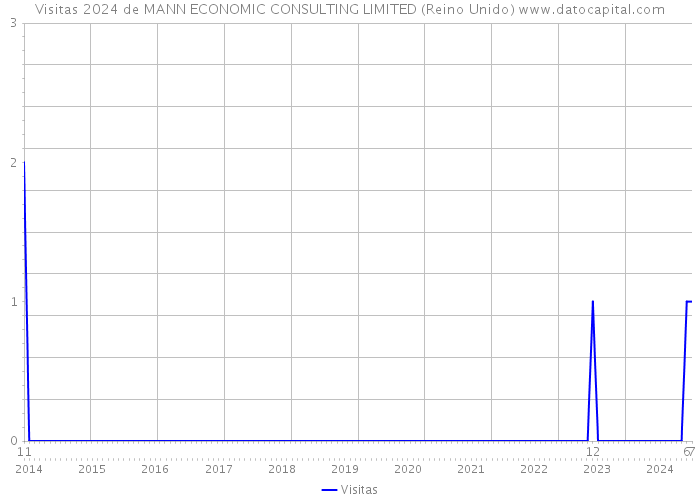 Visitas 2024 de MANN ECONOMIC CONSULTING LIMITED (Reino Unido) 