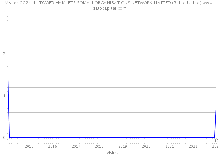 Visitas 2024 de TOWER HAMLETS SOMALI ORGANISATIONS NETWORK LIMITED (Reino Unido) 