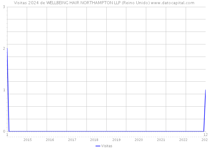 Visitas 2024 de WELLBEING HAIR NORTHAMPTON LLP (Reino Unido) 