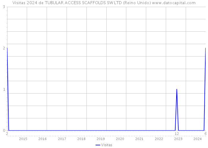 Visitas 2024 de TUBULAR ACCESS SCAFFOLDS SW LTD (Reino Unido) 