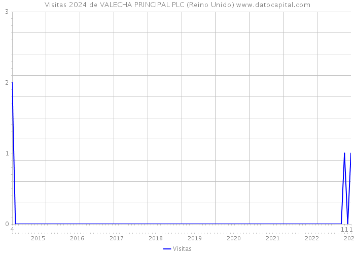 Visitas 2024 de VALECHA PRINCIPAL PLC (Reino Unido) 
