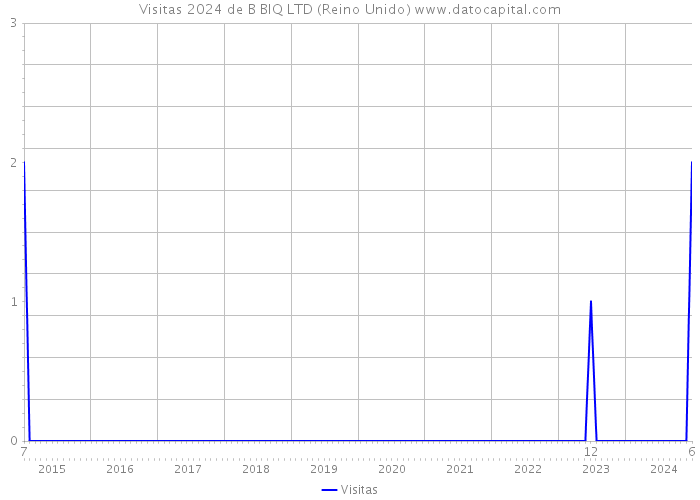 Visitas 2024 de B BIQ LTD (Reino Unido) 