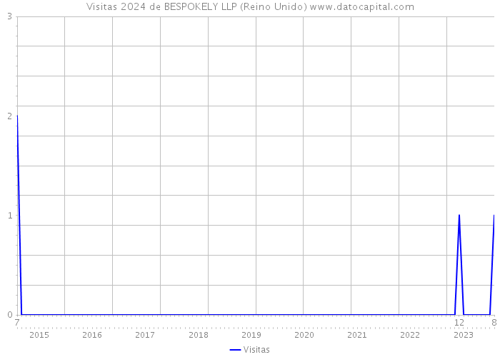 Visitas 2024 de BESPOKELY LLP (Reino Unido) 