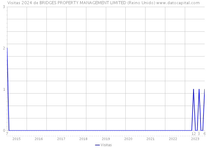 Visitas 2024 de BRIDGES PROPERTY MANAGEMENT LIMITED (Reino Unido) 