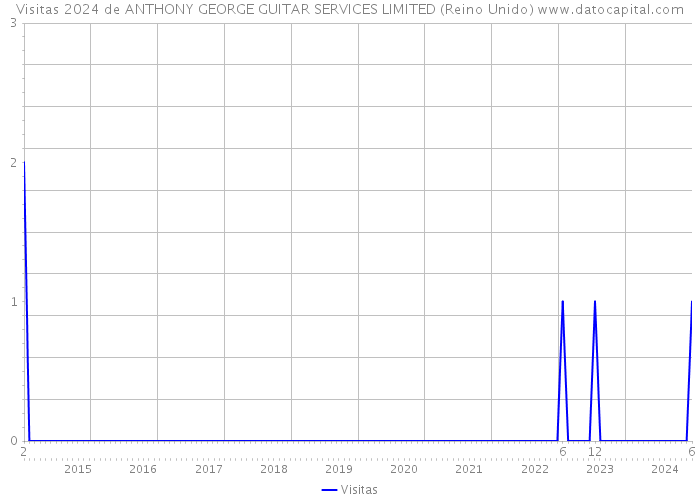 Visitas 2024 de ANTHONY GEORGE GUITAR SERVICES LIMITED (Reino Unido) 