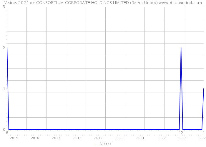 Visitas 2024 de CONSORTIUM CORPORATE HOLDINGS LIMITED (Reino Unido) 