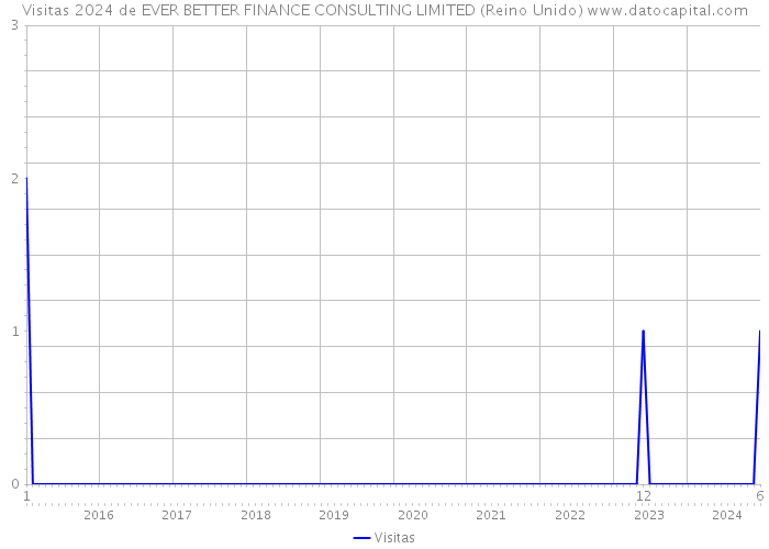 Visitas 2024 de EVER BETTER FINANCE CONSULTING LIMITED (Reino Unido) 