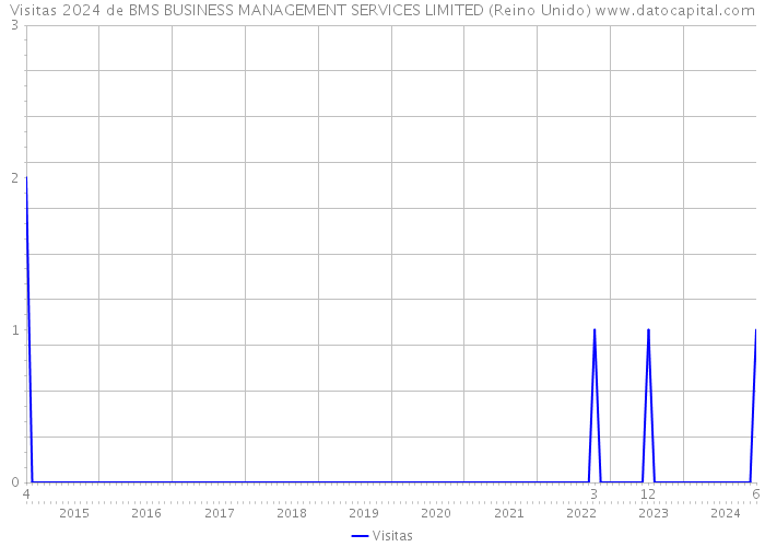 Visitas 2024 de BMS BUSINESS MANAGEMENT SERVICES LIMITED (Reino Unido) 