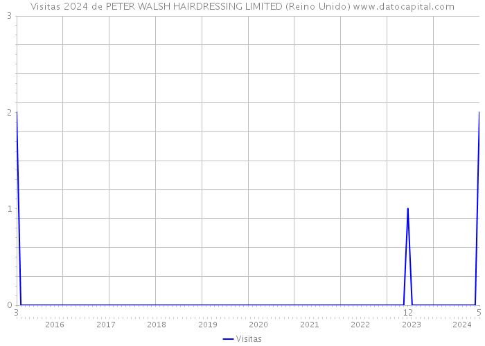 Visitas 2024 de PETER WALSH HAIRDRESSING LIMITED (Reino Unido) 