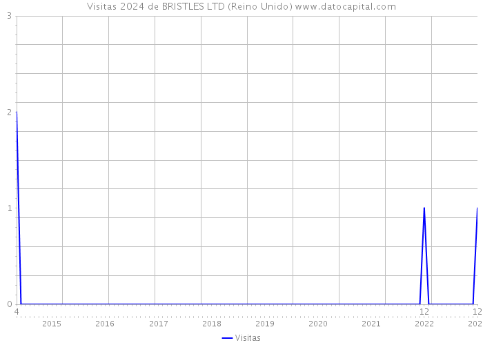 Visitas 2024 de BRISTLES LTD (Reino Unido) 