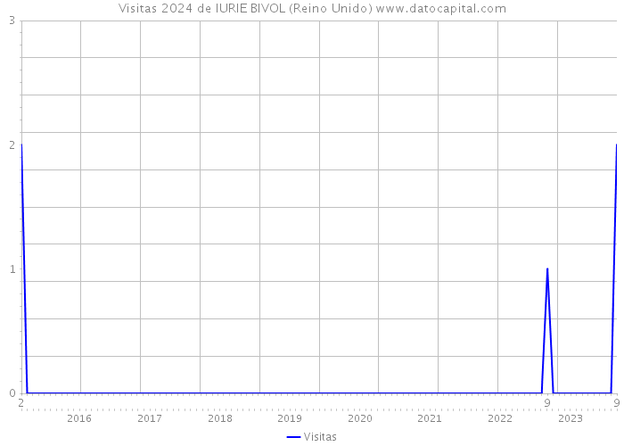 Visitas 2024 de IURIE BIVOL (Reino Unido) 