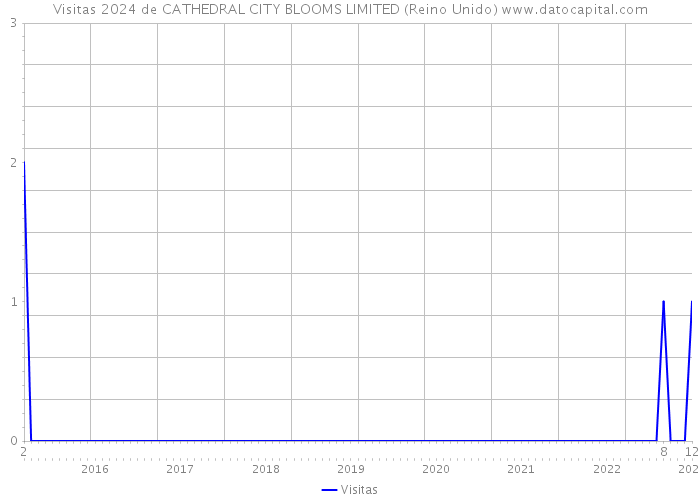 Visitas 2024 de CATHEDRAL CITY BLOOMS LIMITED (Reino Unido) 