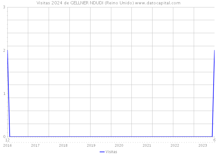 Visitas 2024 de GELLNER NDUDI (Reino Unido) 