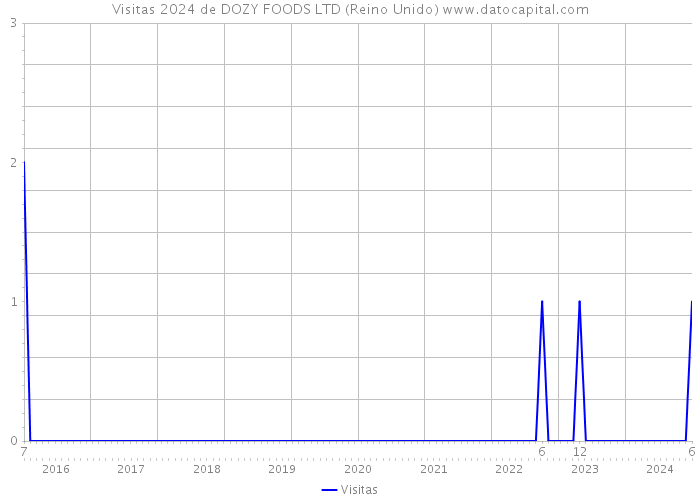 Visitas 2024 de DOZY FOODS LTD (Reino Unido) 