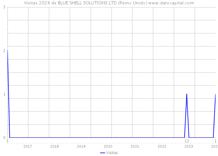 Visitas 2024 de BLUE SHELL SOLUTIONS LTD (Reino Unido) 