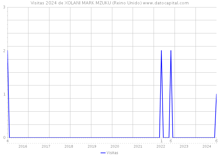 Visitas 2024 de XOLANI MARK MZUKU (Reino Unido) 