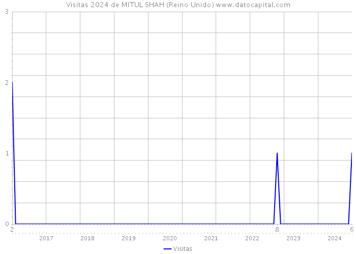 Visitas 2024 de MITUL SHAH (Reino Unido) 