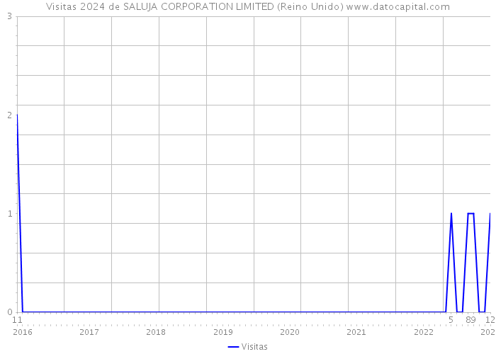 Visitas 2024 de SALUJA CORPORATION LIMITED (Reino Unido) 