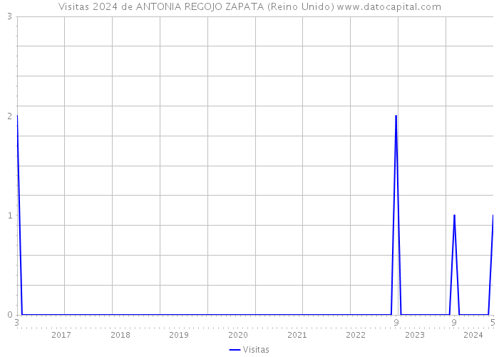 Visitas 2024 de ANTONIA REGOJO ZAPATA (Reino Unido) 