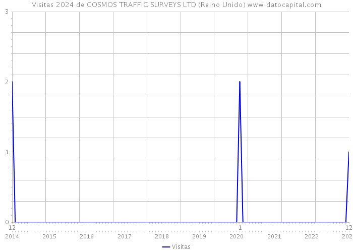 Visitas 2024 de COSMOS TRAFFIC SURVEYS LTD (Reino Unido) 