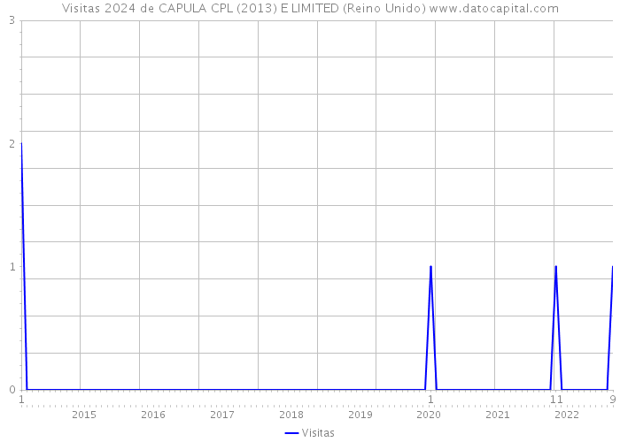 Visitas 2024 de CAPULA CPL (2013) E LIMITED (Reino Unido) 