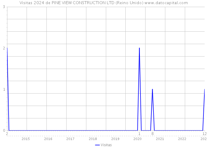 Visitas 2024 de PINE VIEW CONSTRUCTION LTD (Reino Unido) 