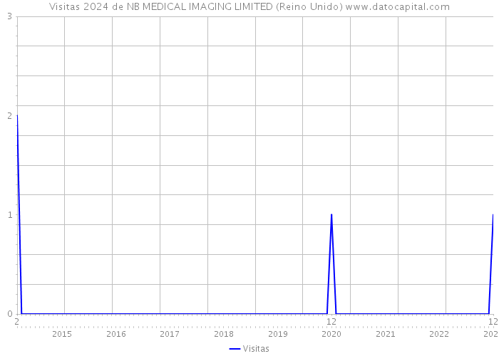 Visitas 2024 de NB MEDICAL IMAGING LIMITED (Reino Unido) 