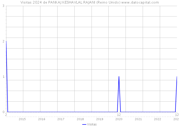 Visitas 2024 de PANKAJ KESHAVLAL RAJANI (Reino Unido) 