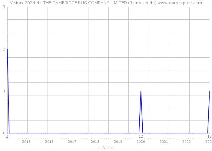 Visitas 2024 de THE CAMBRIDGE RUG COMPANY LIMITED (Reino Unido) 