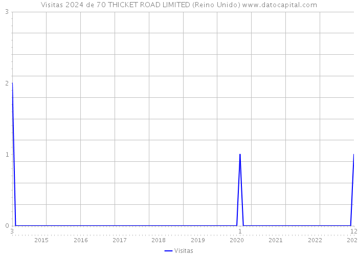 Visitas 2024 de 70 THICKET ROAD LIMITED (Reino Unido) 