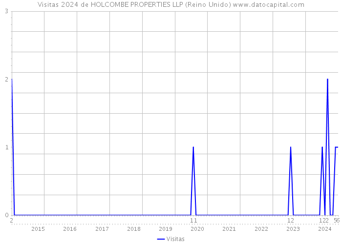 Visitas 2024 de HOLCOMBE PROPERTIES LLP (Reino Unido) 