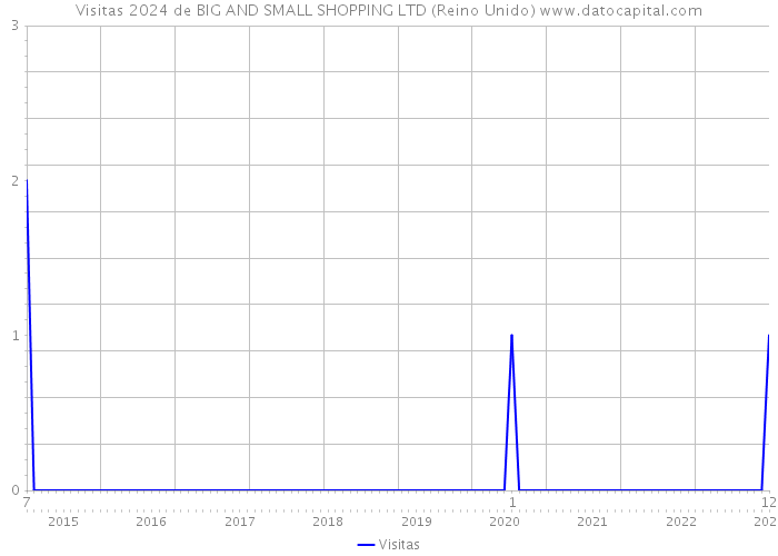 Visitas 2024 de BIG AND SMALL SHOPPING LTD (Reino Unido) 