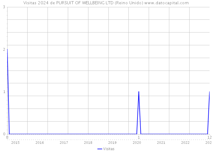 Visitas 2024 de PURSUIT OF WELLBEING LTD (Reino Unido) 