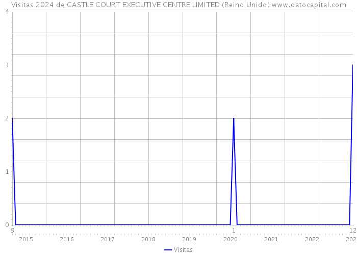 Visitas 2024 de CASTLE COURT EXECUTIVE CENTRE LIMITED (Reino Unido) 
