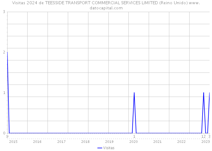 Visitas 2024 de TEESSIDE TRANSPORT COMMERCIAL SERVICES LIMITED (Reino Unido) 