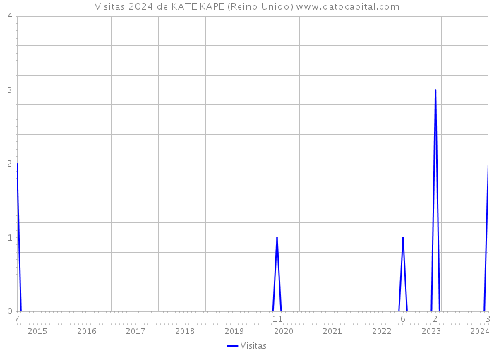 Visitas 2024 de KATE KAPE (Reino Unido) 