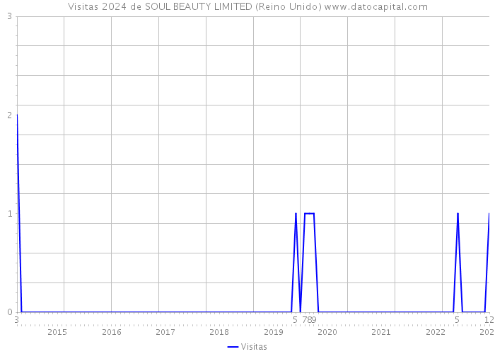 Visitas 2024 de SOUL BEAUTY LIMITED (Reino Unido) 